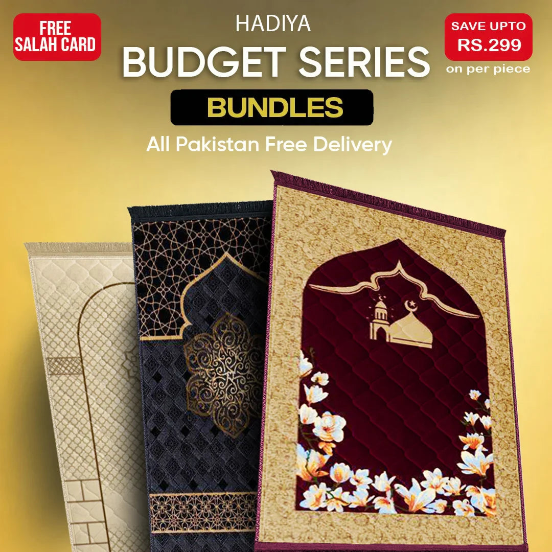 Budget Series Bundle